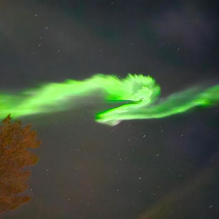 Innholdsrik Og Koselig Leilighet I Svolvaer Lofoten Dış mekan fotoğraf