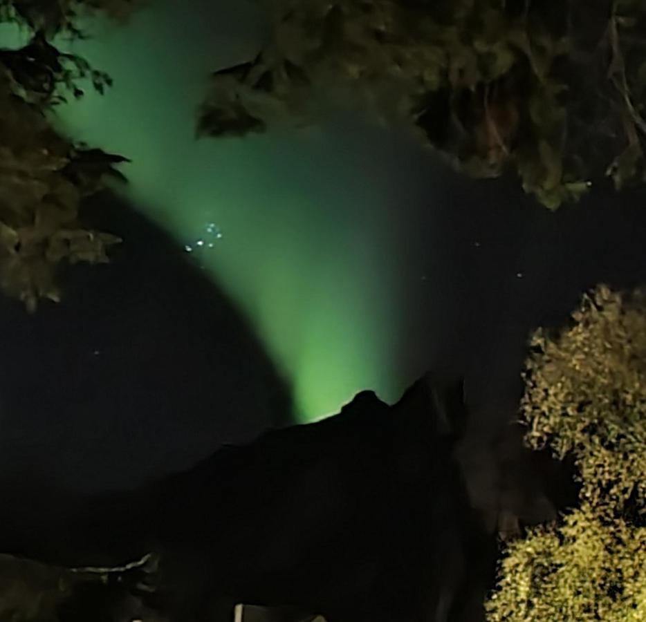 Innholdsrik Og Koselig Leilighet I Svolvaer Lofoten Dış mekan fotoğraf